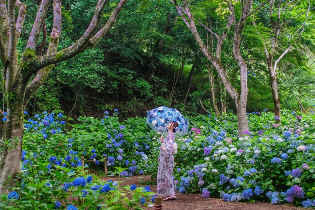 🏞️ 카자아나 - 카미하야시 삼림 공원 (카자아나 - 카미하야시 포레스트 파크) 이미지 7